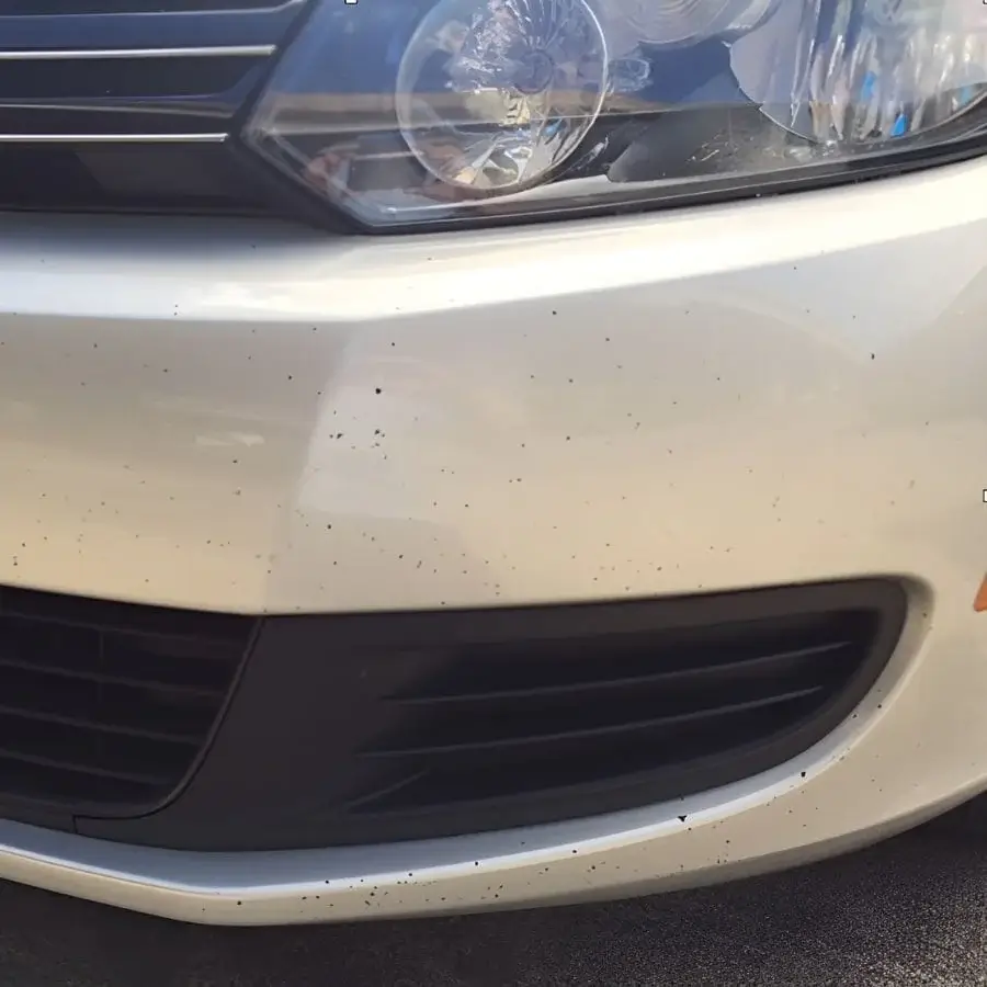 Paint Repair on Jetta